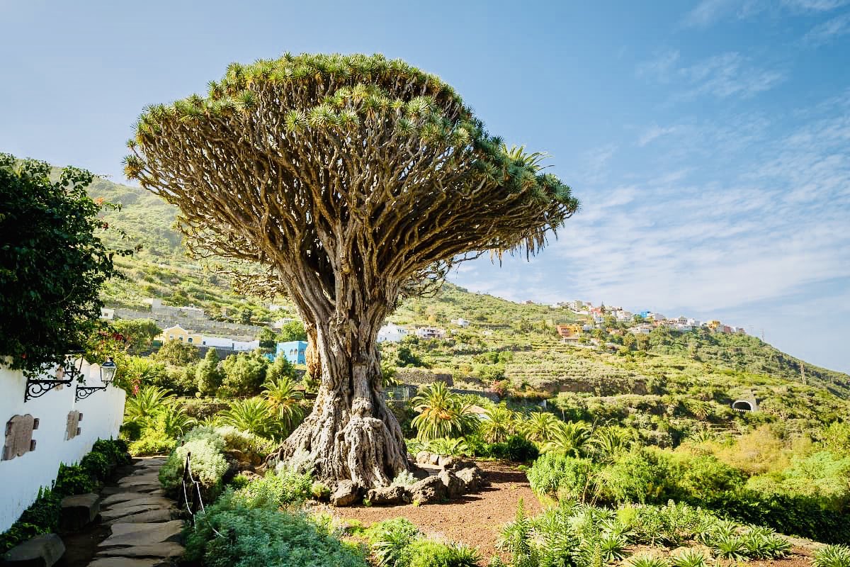 8 Places in Tenerife to set your audio-visual production
