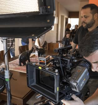 av rental canary islands
