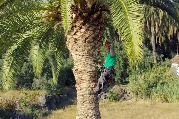 PRODUCCIONES PARA TELEVISIÓN EN CANARIAS