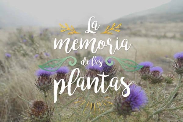 LAS MEMORIAS DE LAS PLANTAS - HORMIGAS PRODUCTORA AUDIOVISUAL