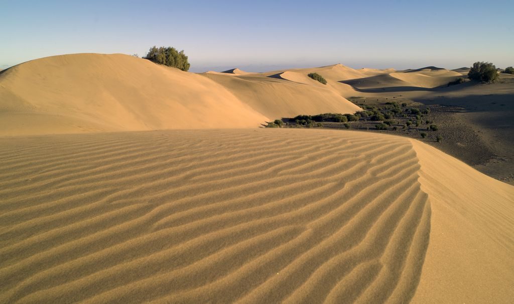 dunas de maspalomas Permisos para rodar en Canarias