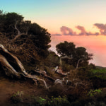 Hierro - TV Shows filmed in Canary Islands