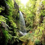 series de éxitointernacional rodadas en Canarias