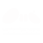 Las Hormigas Negras Productora Audiovisual